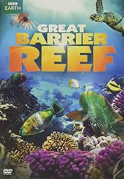 その他 Oceans Alive: Kingdom of the Coral Reef [DVD] Amazon.com: Oceans Alive : None, John Stoneman: Movies & TV